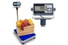 WAGA POMOSTOWA BW-M-150 35x45cm 60/150kg